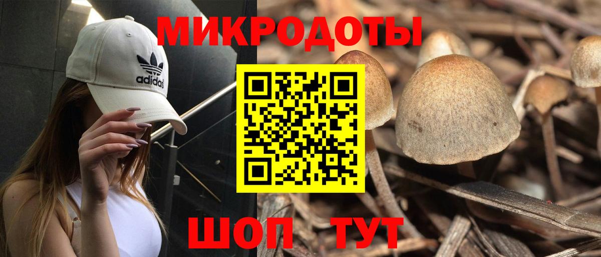 Пятигорск  Псилоцибиновые грибы Psilocybe  хочу наркоту  Вход с VPN  Галлюциногенные грибы GOLDEN TEACHER 