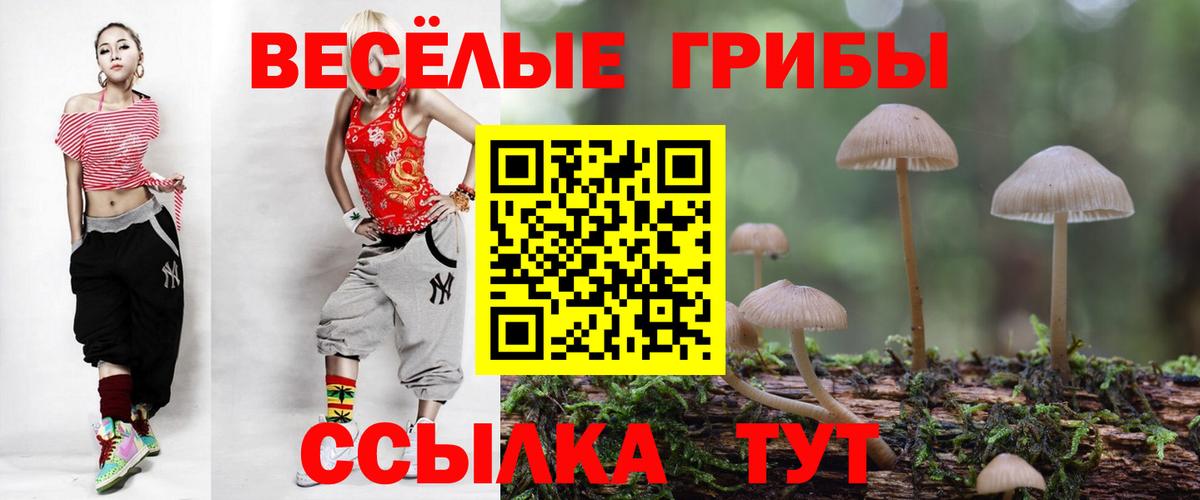 Галлюциногенные грибы Magic Shrooms Пятигорск