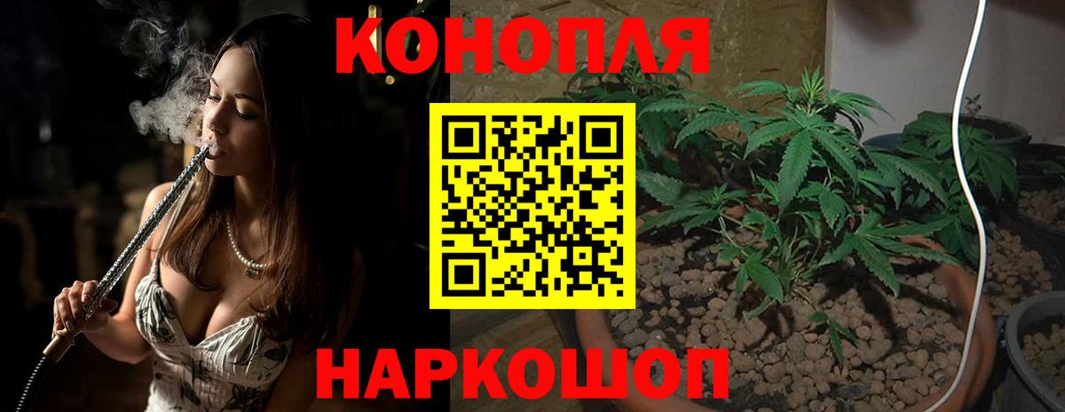 Бошки Шишки White Widow Пятигорск